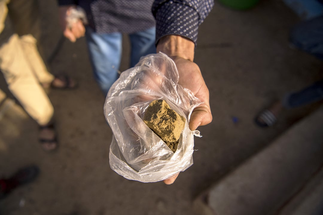 Un morceau de résine de cannabis (haschisch) près de la ville de Ketama, dans la région du Rif, au nord du Maroc. © FADEL SENNA/AFP