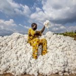 Attade Gantoli, un fermier qui cultive du coton biologique au Bénin © Andrew Esiebo/PANOS-REA