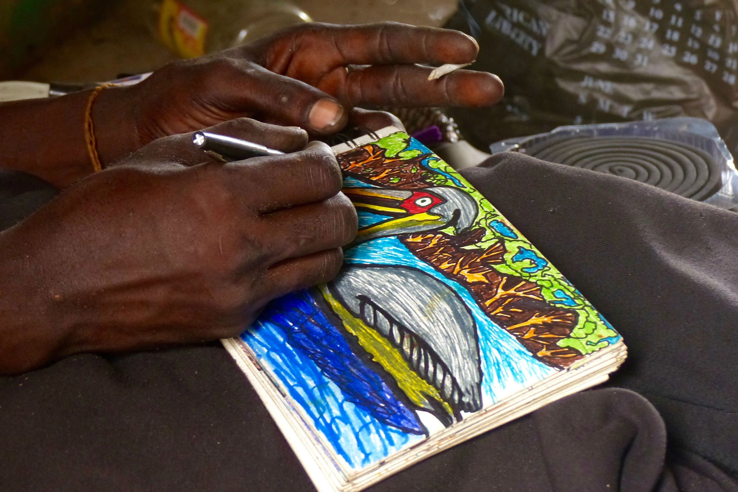 Jean-Dominique Senghor dessine un pélican gris sur son carnet. © Photo : Sophie Douce pour Jeune Afrique