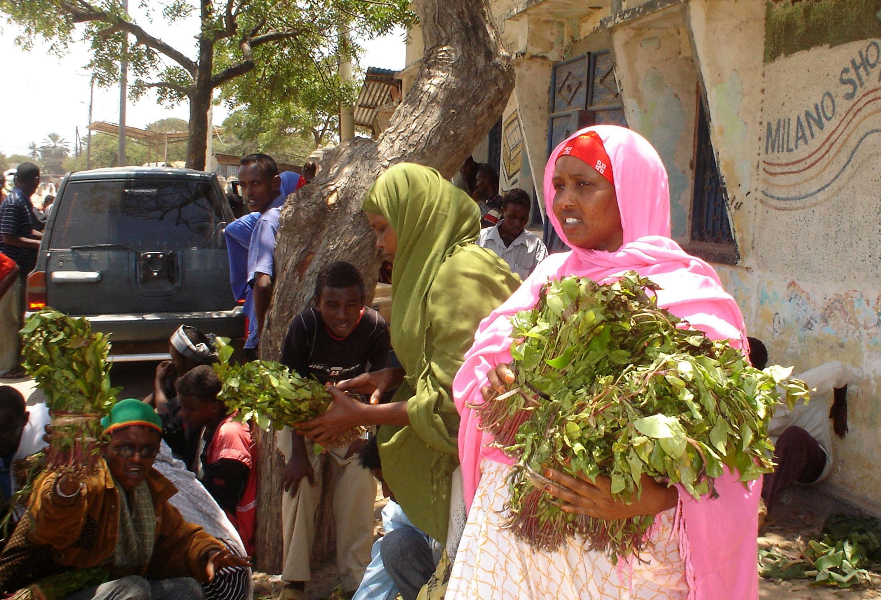 Des femmes somaliennes portent des paquets de khat dans la ville côtière somalienne de Kismayo. © NASTEEX FAARAX/AP/SIPA