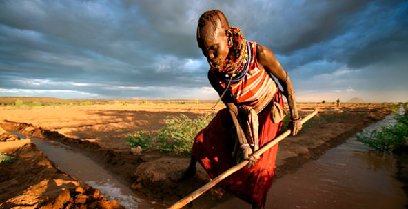 Un projet d'irrigation financé par les États-Unis à Lokwi, au Kenya © The New York Times/REA