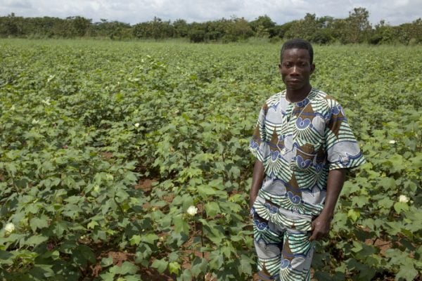 Un exploitant de coton béninois et son champ. © Jacques TORREGANO pour Jeune Afrique