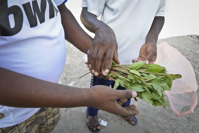 Vente de khat dans une rue de Djibouti. © Vincent Fournier/Jeune Afrique