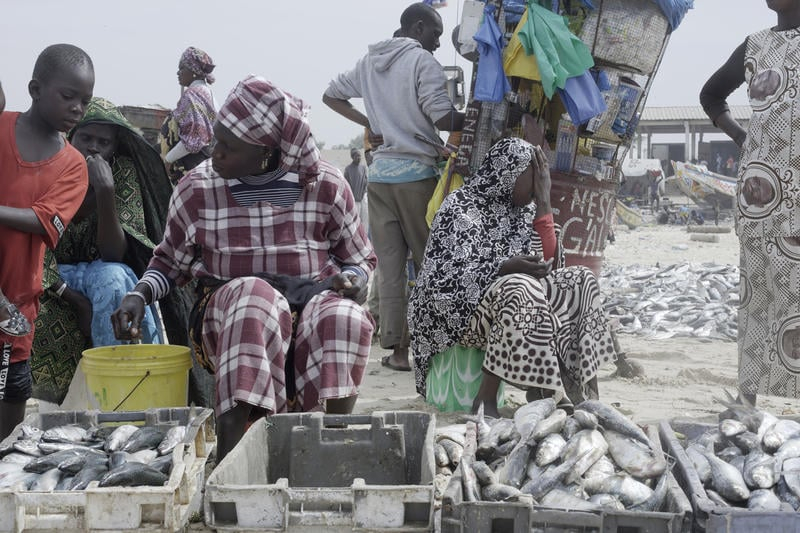 Des femmes sénégalaises transformatrices, du marché aux poissons de Mantulaye Dieye, à Cayar. © Greenpeace/Pape Diatta Sarr