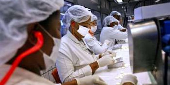 Les laboratoires de Port Elizabeth produisent 40,6 % des médicaments anti-VIH d’Afrique du Sud.