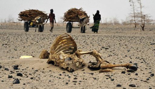 Face au changement climatique, l&#39;Afrique, première victime, peut devenir un  modèle à suivre – Jeune Afrique