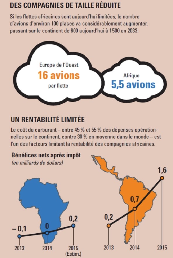 Radiographie du secteur © Sources : Afraa, Iata, Airfleets