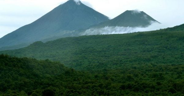 Forêt recouvrant le territoire de Lubero, bastion des groupes armés rebelles