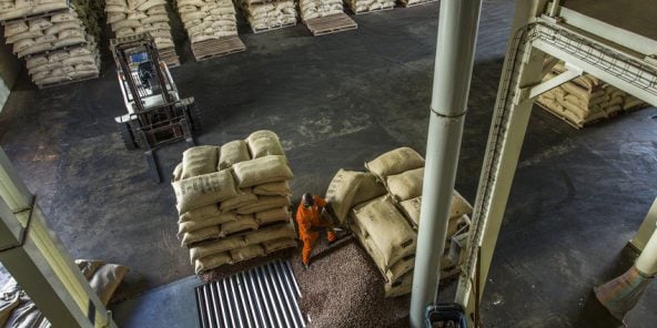 Unité de transformation du Cacao dans l’usine de Choco Ivoire à San Pedro, dans le sud-ouest de la Côte d’Ivoire, en mars 2016.