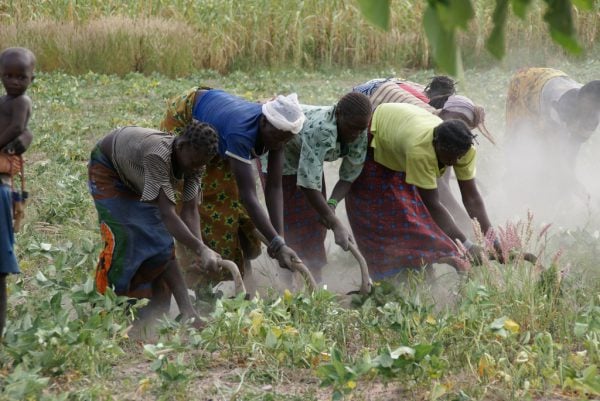 L'agriculture reste le premier contributeur au PIB burkinabé. Ici à proximité de Bobo Dioulasso.