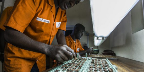 Unité de transformation de cacao de l’usine Choco Ivoire à San Pedro (Côte d’Ivoire) en mars 2016.