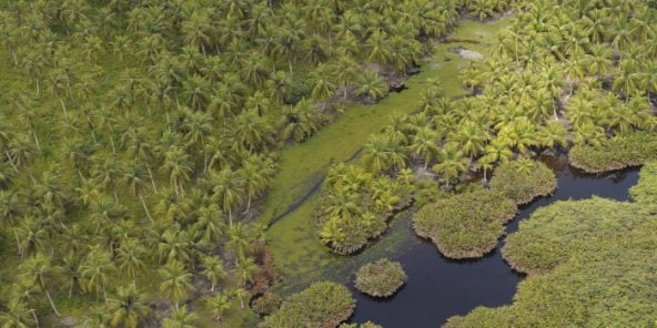 Classement Des Pays Les Plus Vulnerables Au Changement Climatique