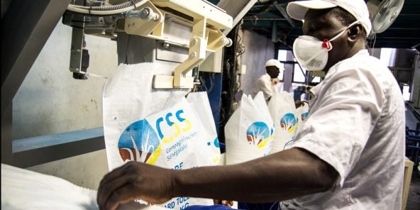 Le groupe a engagé un plan d’investissement de près de 240 milliards de F CFA pour étendre ses capacités de production à 200 000 tonnes annuelles d’ici à 2021.