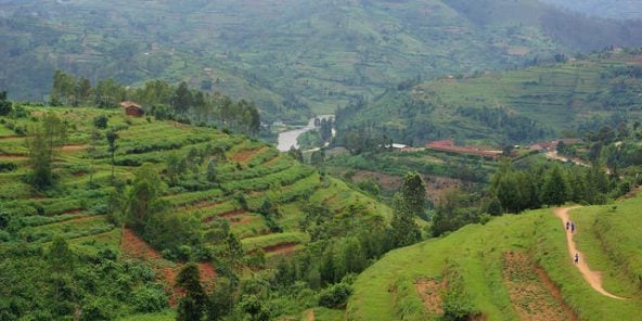 Les collines de Nyabarongo, au Rwanda (Illustration)