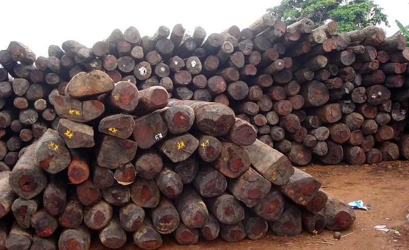 Stocks illégaux de bois de rose à Antalaha, à Madagascar.