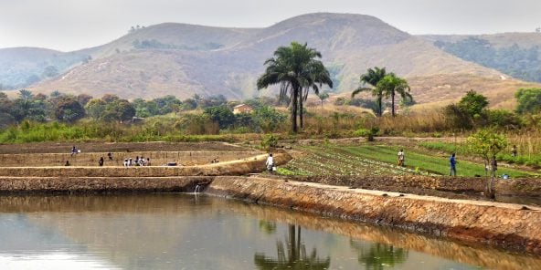 congo paysage