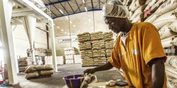 Unité de transformation du cacao dans l'usine de Choco Ivoire à San Pedro, dans le sud-ouest de la Côte d'Ivoire, en mars 2016.