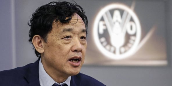 Qu Dongyu, directeur général de la FAO, à Rome, le 27 novembre 2019.