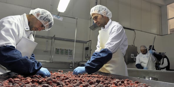 Usine Elafruit, Tahracht, Algerie.