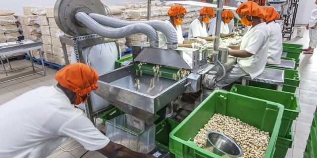 Bénin : la politique agricole de Patrice Talon au banc d'essai