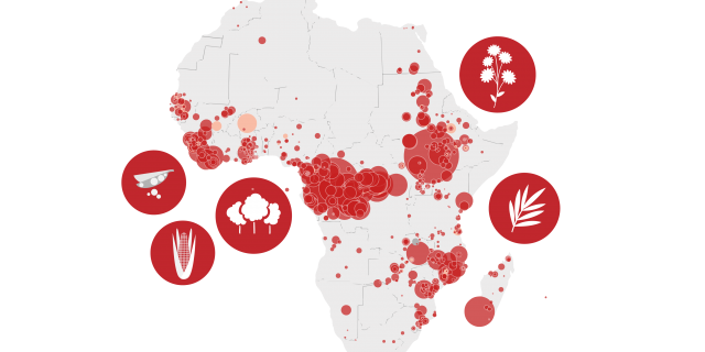 Libanais, Américains, Chinois… Qui détient les terres en Afrique ?